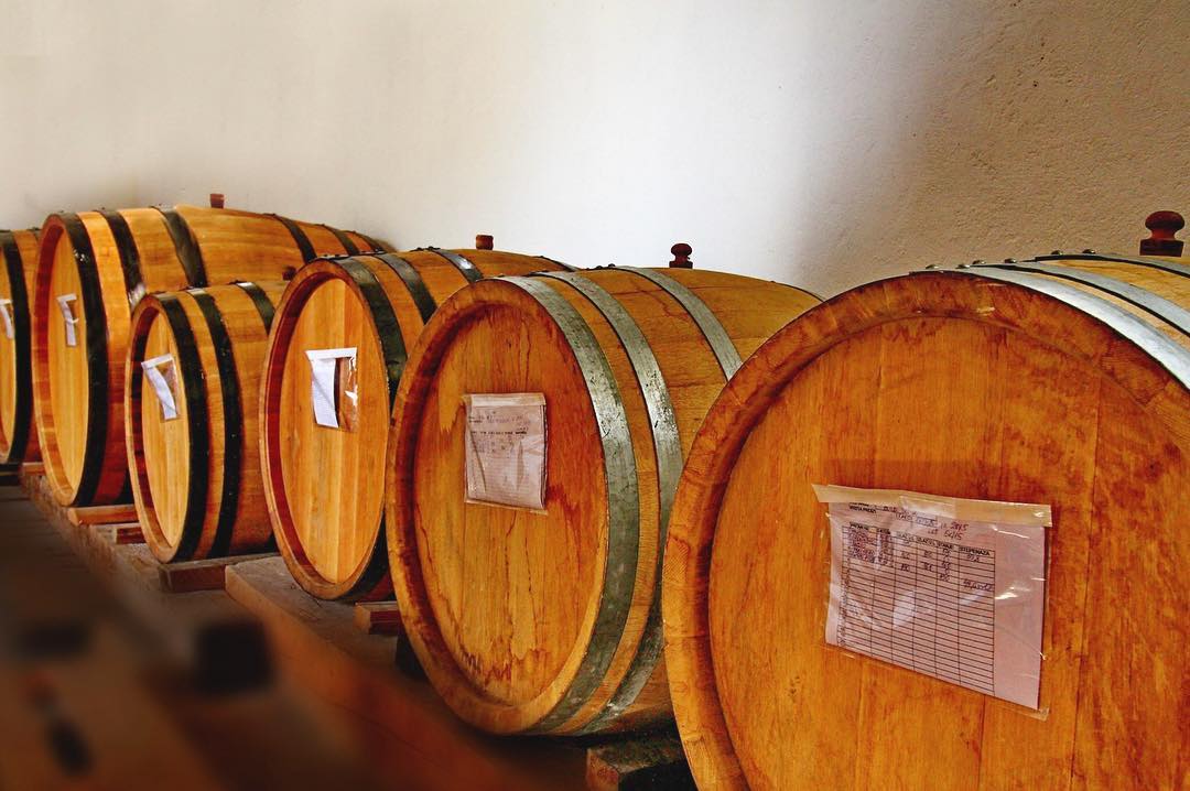 Zašto dobra rakija ne nastaje slučajno